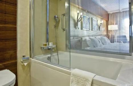 Holiday Inn Ankara-Kavaklidere, an IHG - 132