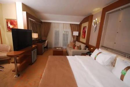 Holiday Inn Ankara-Kavaklidere, an IHG - 166