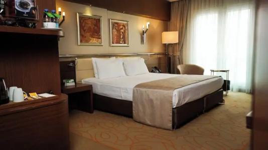 Holiday Inn Ankara-Kavaklidere, an IHG - 150