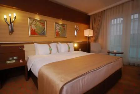 Holiday Inn Ankara-Kavaklidere, an IHG - 107