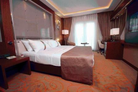 Holiday Inn Ankara-Kavaklidere, an IHG - 130