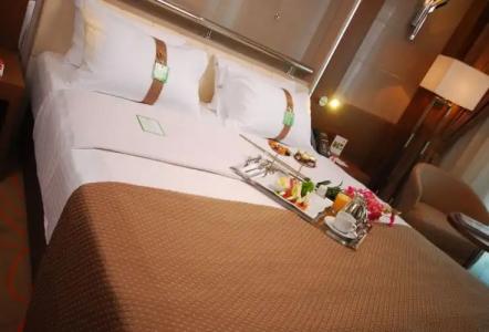 Holiday Inn Ankara-Kavaklidere, an IHG - 141