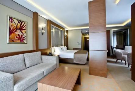 Holiday Inn Ankara-Kavaklidere, an IHG - 165