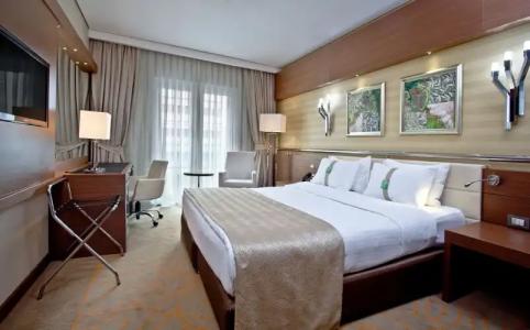 Holiday Inn Ankara-Kavaklidere, an IHG - 101