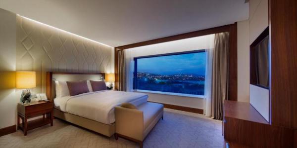 Conrad Istanbul Bosphorus - 250