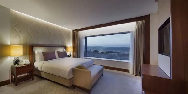 Conrad Istanbul Bosphorus - 210