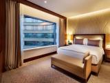 Platinum Double Suite with city view