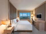 Executive Double Guest room with city view