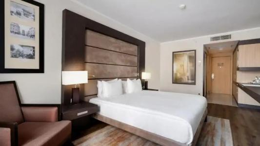 Ramada Plaza By Wyndham Istanbul City Center - 104