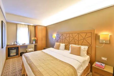 Ramada By Wyndham Istanbul Taksim - 101