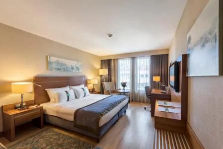 Holiday Inn Sisli, an IHG - 101