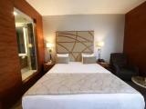 Superior Double room with city view