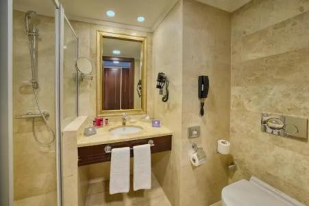 Crowne Plaza Istanbul - Old City, an IHG - 40