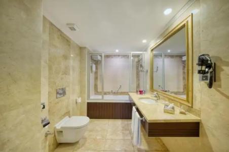 Crowne Plaza Istanbul - Old City, an IHG - 44