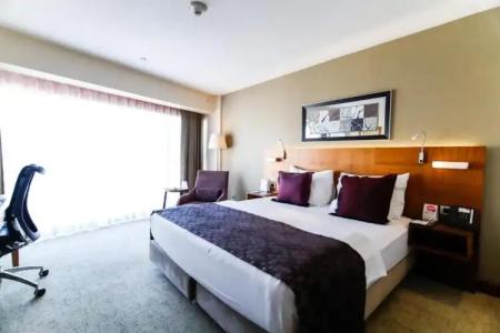 Crowne Plaza Istanbul Harbiye, an IHG - 52