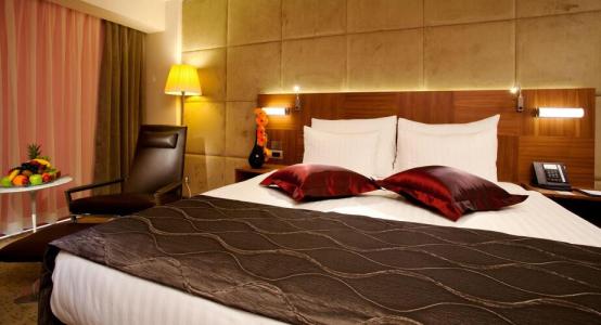 Crowne Plaza Istanbul Harbiye, an IHG - 49