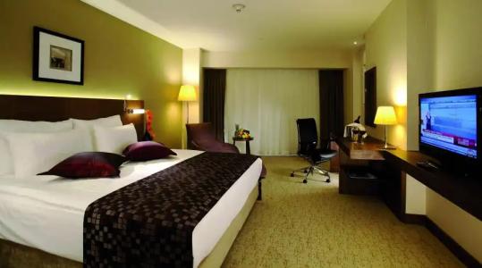 Crowne Plaza Istanbul Harbiye, an IHG - 40