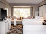 1 Bedroom Double Suite with city view