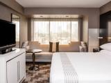 1 Bedroom Suite with city view