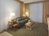 Executive Double Suite