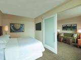 1 Bedroom Junior Suite