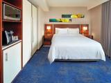 Premium with In-room drinks and snacks Double room