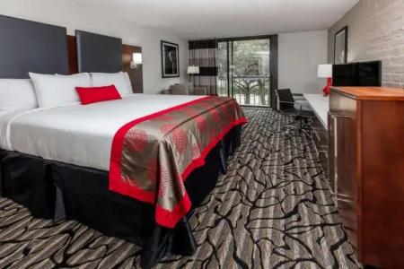 Ramada by Wyndham Austin South - 112