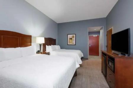 Hampton Inn Denver-International Airport - 101