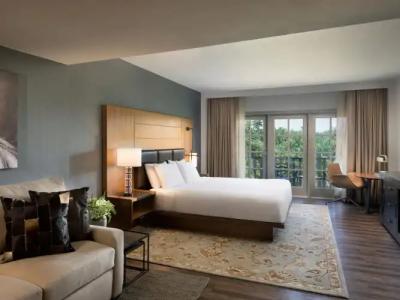 Hyatt Regency Hill Country Resort & Spa - 127