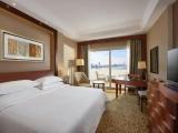 Premium with Partial Nile view Double room with balcony