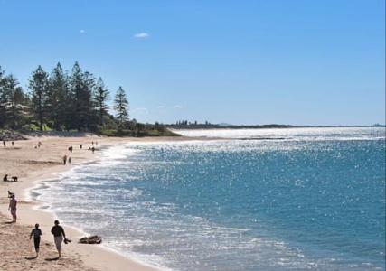 The Norfolks on Moffat Beach - 16