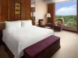 Deluxe Double room with pool view