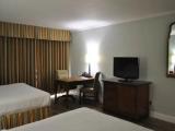 Executive Quadruple room