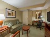 1 Bedroom Quadruple Suite