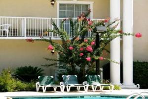 Palmera Inn and Suites, Hilton Head Island