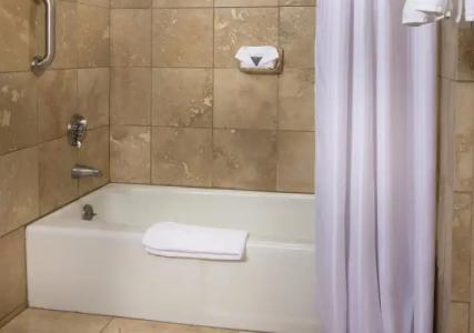 Holiday Inn - Portland - Columbia Riverfront, an IHG - 7