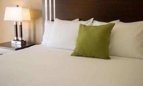 Holiday Inn - Portland - Columbia Riverfront, an IHG - 41