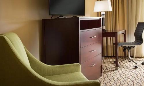 Holiday Inn - Portland - Columbia Riverfront, an IHG - 59