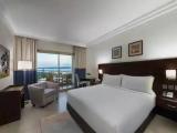 Superior Double Guest Room with city view