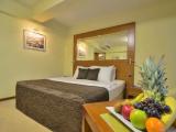 Deluxe Double room with balcony and with river view