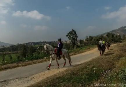 Gokarna Forest Resort - 22