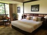 Premier Double room with balcony