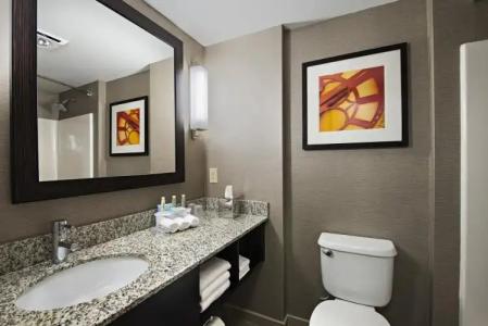 Holiday Inn Express & Suites Boston - Cambridge, an IHG - 39