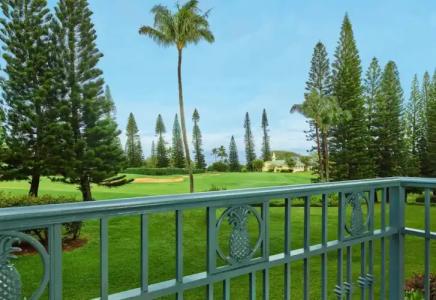 The Ritz-Carlton Maui, Kapalua - 225