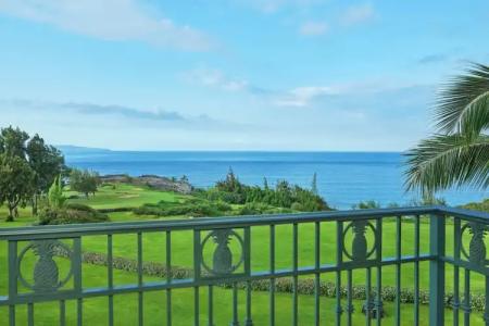 The Ritz-Carlton Maui, Kapalua - 231