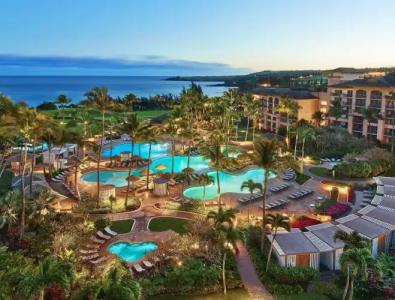 The Ritz-Carlton Maui, Kapalua - 39