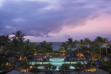 The Ritz-Carlton Maui, Kapalua - 46