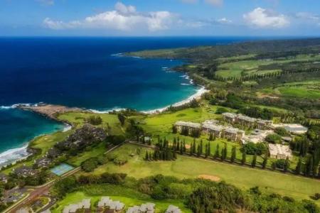 The Ritz-Carlton Maui, Kapalua - 56