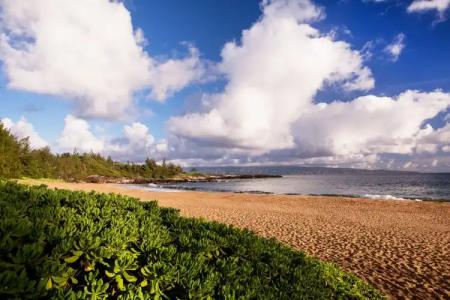 The Ritz-Carlton Maui, Kapalua - 32