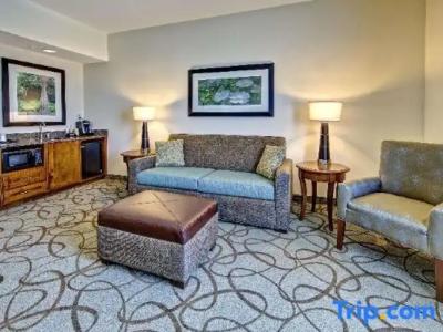 Hilton Garden Inn Charleston / Mt. Pleasant - 84